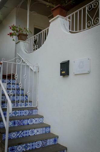 Nest Home Sorrento