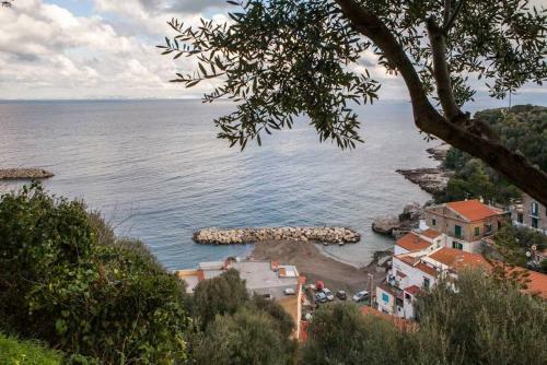 Apartamento Maison Del Mare Sea View Sorrento