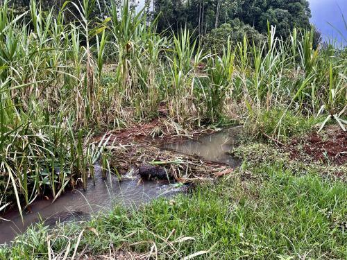 Countryside Villa 4bdr With Unlimited Wifi&netflix