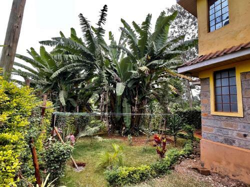 Countryside Villa 4bdr With Unlimited Wifi&netflix