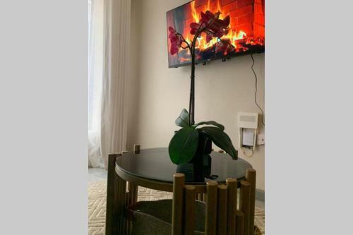 Modern 1 Bedroom Apartment. Elevated Living