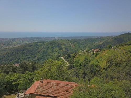 Relax E Natura In Versilia
