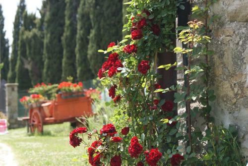 Agroturismo Casa Al Moro B&B