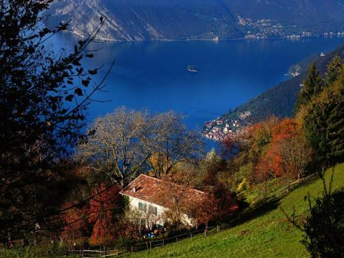 B&B Forsesiforseno