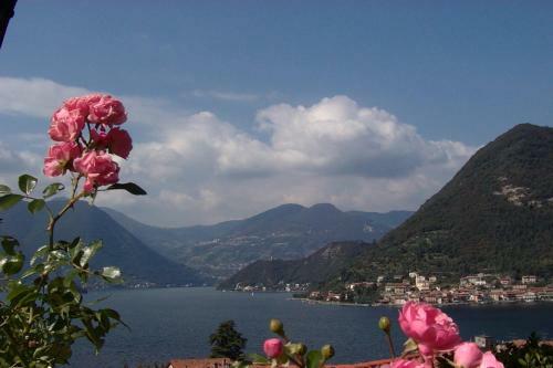 B&B Forsesiforseno