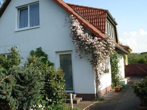 Apartamento Vermietung Wenzel