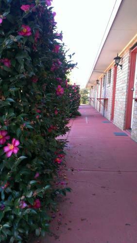 Idlewilde Town & Country Motor Inn