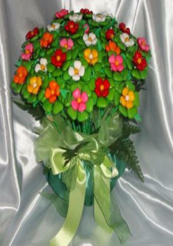 Bed & Breakfast B & B Lo Gnomo