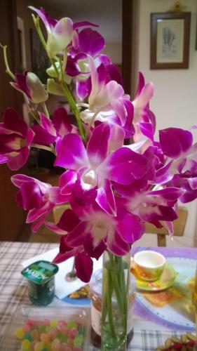 Bed & Breakfast B & B Lo Gnomo