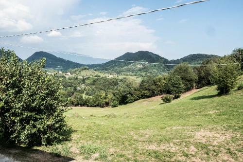 La Vigna Fiorita B&B