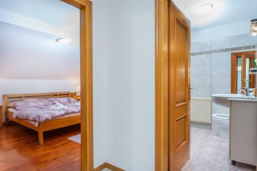 Penthouse Central Apartment Vista Monte Priesnig