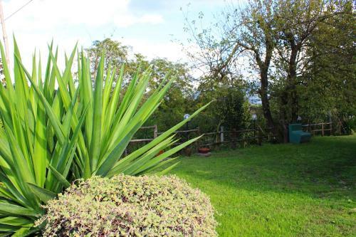 Bed & Breakfast Il Moro Bianco