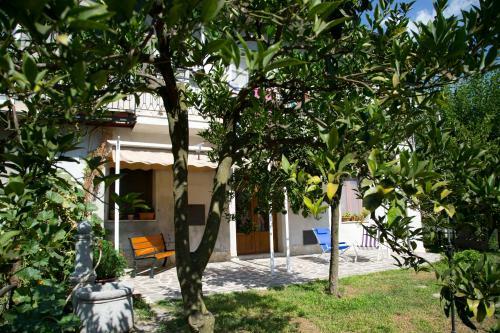 Bed & Breakfast Il Moro Bianco