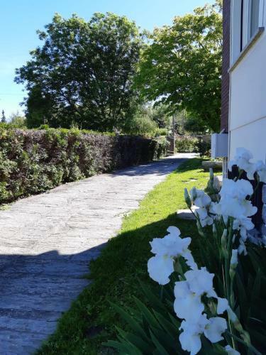 Apartamento I Tulipani