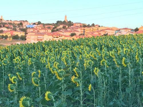 Bed & Breakfast La Casetta