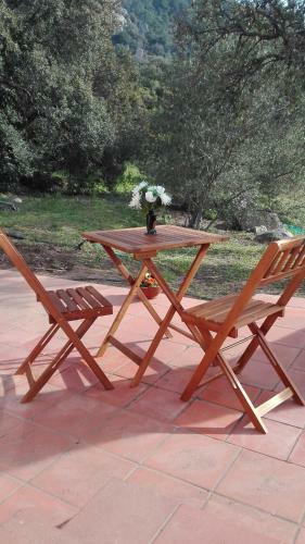 Agroturismo Agriturismo Monte Pino