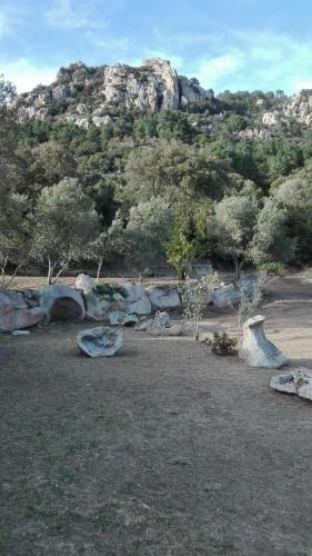 Agroturismo Agriturismo Monte Pino