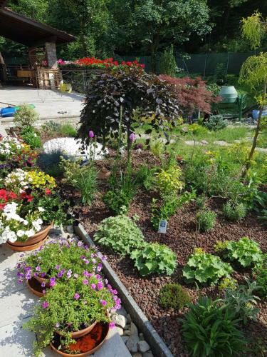 Agroturismo Nel Giardino Di Dafne