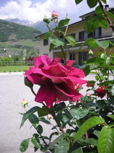 Bed & Breakfast Il Crocevia