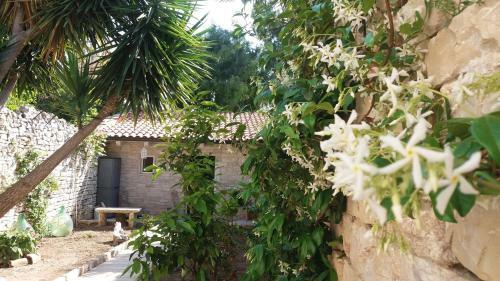 Casa Vacanze Alisei