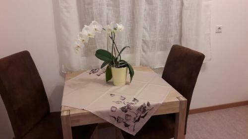 Apartamento Georg Barbieri