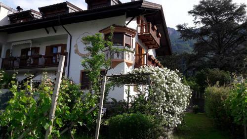 Apartamento Georg Barbieri