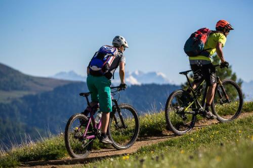 Apartamento Chalet Schmied