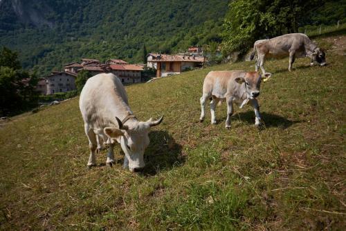 Agroturismo Le Terre Di Gu