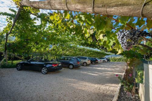 Agroturismo Quellenhof