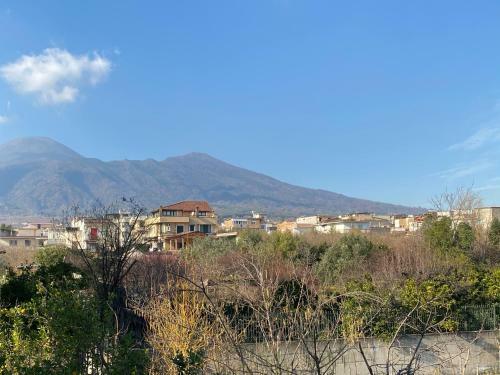 Apartamento Giann� Holiday Home - Vesuvio/pompei