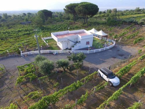 Tenuta Sul Vesuvio " Il Vigneto "