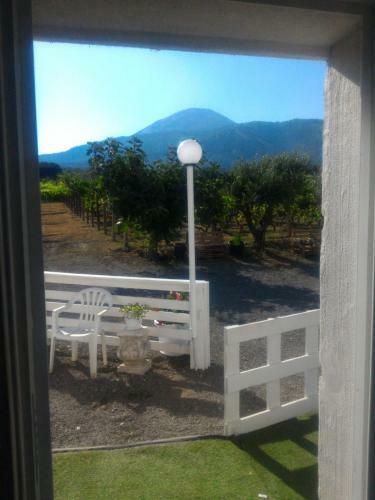 Tenuta Sul Vesuvio " Il Vigneto "