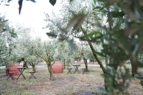 B&B Dimora Di Campagna "alle Falde Del Vesuvio"