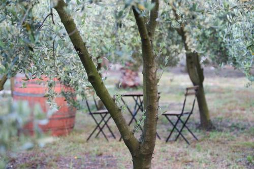 B&B Dimora Di Campagna "alle Falde Del Vesuvio"