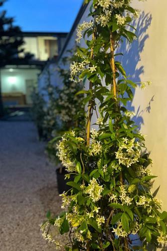 B&B Dimora Di Campagna "alle Falde Del Vesuvio"
