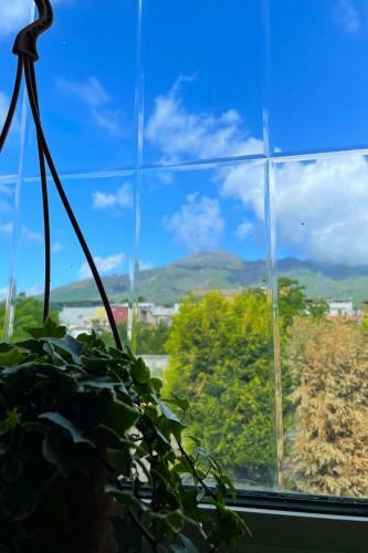 B&B Dimora Di Campagna "alle Falde Del Vesuvio"