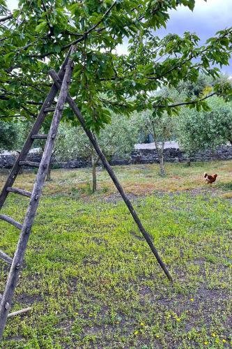 B&B Dimora Di Campagna "alle Falde Del Vesuvio"