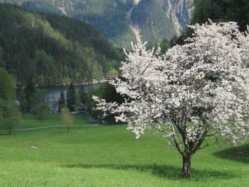 Hostal Gasthof Piburger See