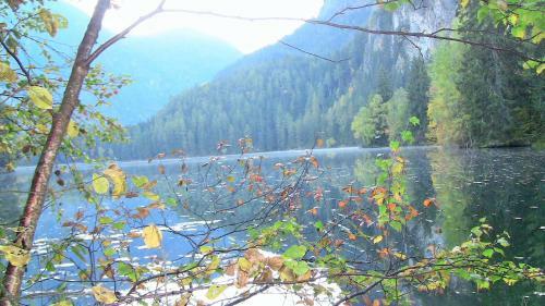 Hostal Gasthof Piburger See