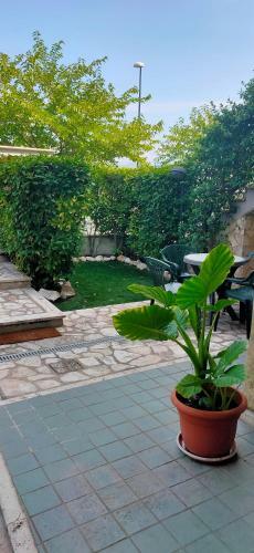 Apartamento Tana Per Gli Ospiti
