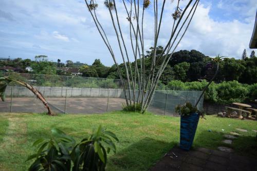 Hostal The Hidden Creed