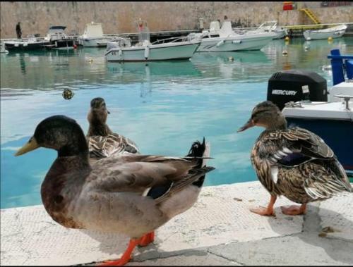 Casa Del Panificio