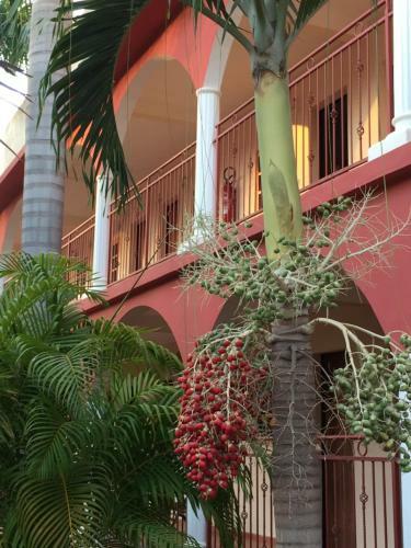 Hotel Les Jardins Du Flamboyant