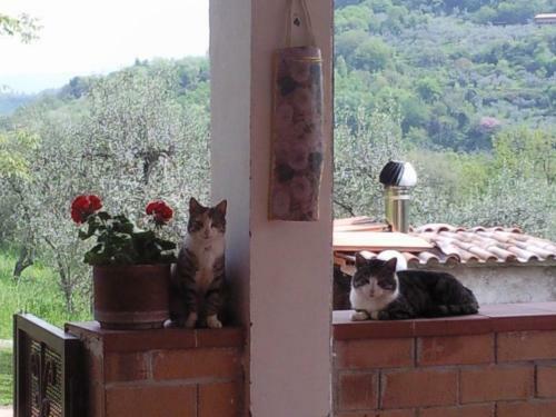 B&B Toffia