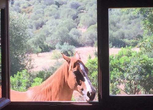 Hostal Amalfatah