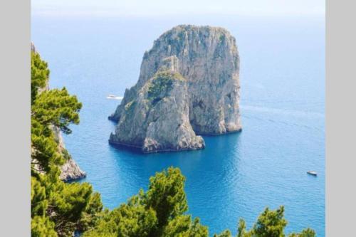 Apartamento Appartamento A 500 Mt. Dal Mare