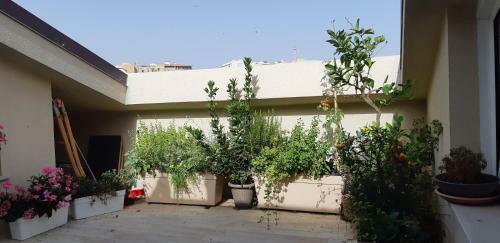Apartamento Il Patio Sospeso