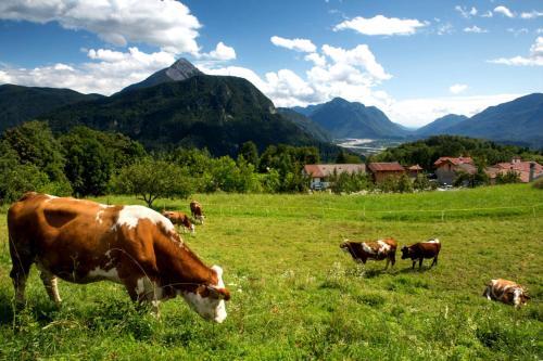 Apartamento Albergo Diffuso Tolmezzo