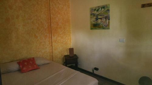 Pura Vida Mini Hostel - Tamarindo Costa Rica