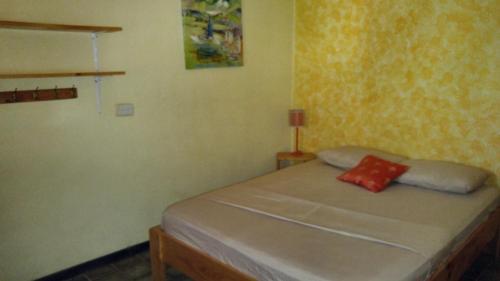 Pura Vida Mini Hostel - Tamarindo Costa Rica